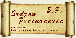 Srđan Pečinoćević vizit kartica